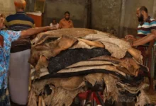 চামড়া খাতে খেলাপি ৪৮৪৪ কোটি টাকা