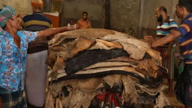চামড়া খাতে খেলাপি ৪৮৪৪ কোটি টাকা