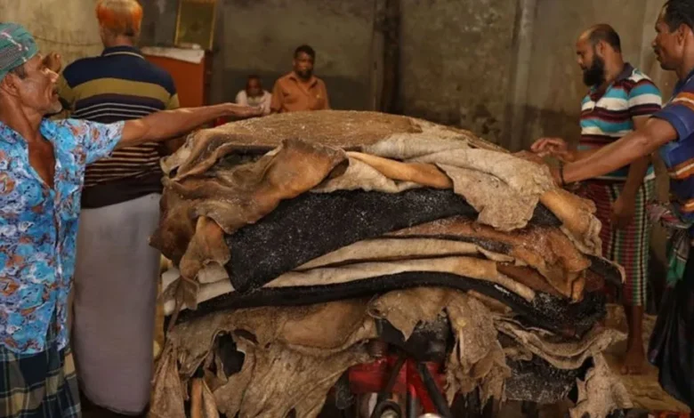 চামড়া খাতে খেলাপি ৪৮৪৪ কোটি টাকা