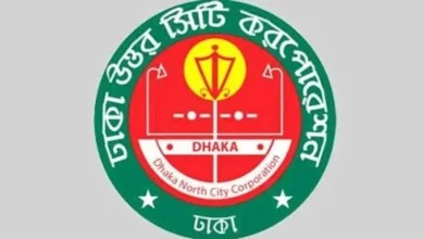 মশা মারতে ডিএনসিসির বাজেট ১৮৮ কোটি টাকা