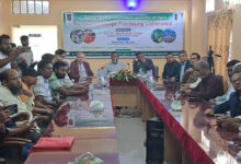আম চাষের জন্য বাংলাদেশি চাষীদের বিনামূল্যে জমি দেবে আলজেরিয়া