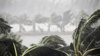 ধেয়ে আসছে শক্তিশালী বৃষ্টিবলয় ‘ধারা’, ২৪ জুলাই থেকে দেশজুড়ে বৃষ্টির আশঙ্কা
