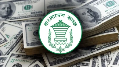 ৬ দিনে রেমিট্যান্স এসেছে ৪২৭ মিলিয়ন মার্কিন ডলার: বাংলাদেশ ব্যাংক