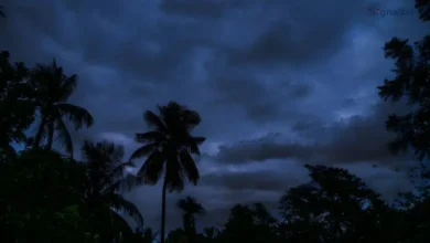 নিম্নচাপের তাণ্ডবে উত্তাল বঙ্গোপসাগর, ১৫ জেলায় জলোচ্ছ্বাস