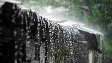 চার বিভাগে ভারী বৃষ্টি, আবহাওয়ার সতর্ক বার্তা