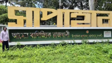 সাপাহারে প্রথম ‘ম্যাঙ্গো ফেস্টিভ্যাল’, আন্তর্জাতিক বাজারের স্বপ্ন