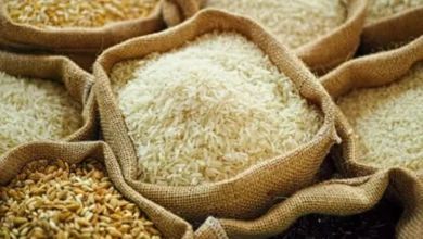 নতুন চালের দাম বৃদ্ধি ও খাদ্য নিরাপত্তায় সরকারের উদ্যোগ