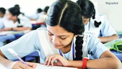 প্রাথমিক বৃত্তি পরীক্ষার তথ্য পাঠানোর শেষ সময়