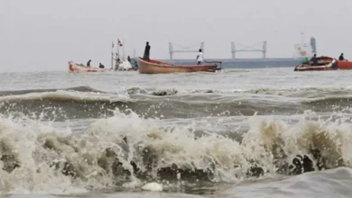 বঙ্গোপসাগরে ফের লঘুচাপ সৃষ্টির আভাস, বাড়তে পারে বৃষ্টিপাতের প্রবণতা