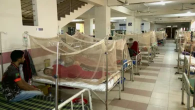বর্ষার শেষে বেপরোয়া ডেঙ্গু, আরও ৩ মৃত্যু
