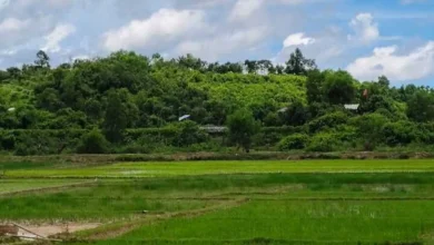 ঘুমধুম সীমান্তে অনবরত গুলির শব্দ, ফের আতঙ্কে স্থানীয়রা