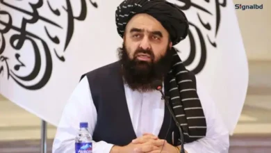 আফগানিস্তানে নারী শিক্ষা: তালেবান শাসনের অধীনে ২৮ লাখ নারী শিক্ষার্থী