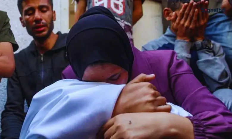 গাজায় ইসরায়েলি হামলায় নিহত অন্তত ১০০, ক্ষুধা-অপুষ্টিতে মৃত্যু ৮ জনের