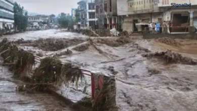পাকিস্তানে পাহাড়ি ঢল তিন প্রদেশে ব্যাপক ক্ষতি, নিহত ২৫০ এর বেশি