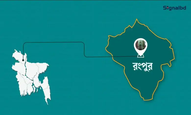 পীরগাছায় অজানা ভাইরাসে দুই শতাধিক গবাদিপশুর মৃত্যু