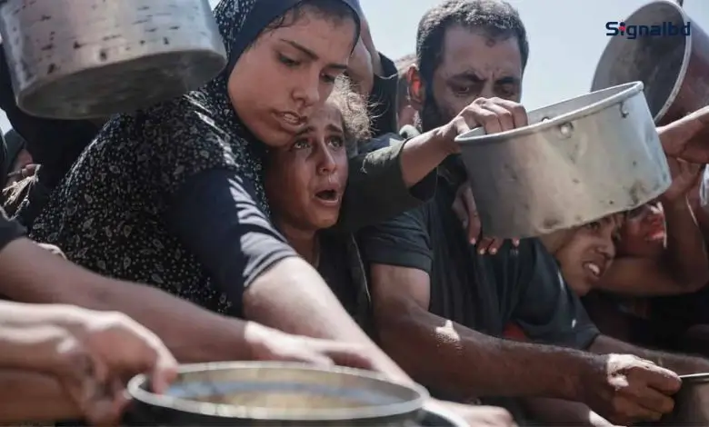 গাজায় ভয়াবহ দুর্ভিক্ষ: অনাহারে মৃত্যুর মিছিল, শিশুদের বাঁচানোর আহ্বান