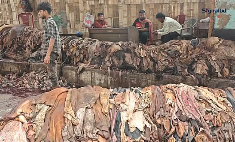 চামড়া শিল্পে পরিবেশসচেতনতা সংকটে বাংলাদেশ