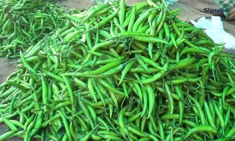 হিলি স্থলবন্দরে কাঁচা মরিচের আমদানি বেড়েছে, দাম কমেছে বাজারে