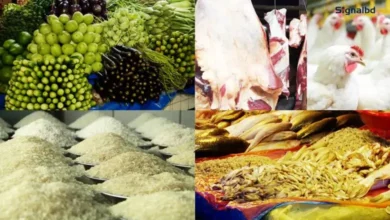 বৃষ্টিতে নিত্যপণ্যের বাজারে অস্থিরতা: বাড়ছে মাছ, সবজি, মুরগির দাম