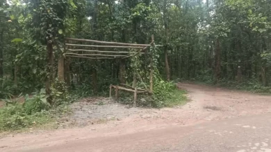 ডাকাতি ঠেকাতে বানানো পুলিশ চেকপোস্টের টিন চুরি: এলাকাবাসীর উদ্বেগ
