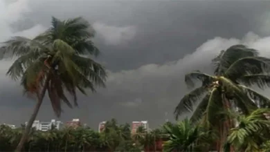 সকাল ৯টার মধ্যে ৬০ কিমি বেগে ঝড় ও বজ্রসহ বৃষ্টির আভাস