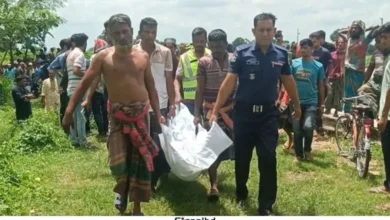 পূর্বশত্রুতার জেরে চুয়াডাঙ্গায় দুই ভাইকে নির্মমভাবে হত্যা