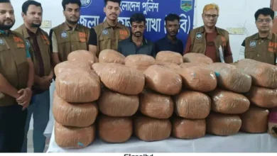 নাটোরে বাস-ট্রাক তল্লাশি: বিপুল পরিমাণ গাঁজা জব্দ