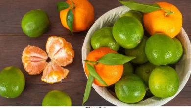 কমলা না লেবু? রোগ প্রতিরোধ ক্ষমতা বাড়াতে কোনটি বেশি কার্যকরী