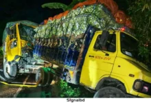 রাজবাড়ীতে সড়ক দুর্ঘটনা: ট্রাকের ধাক্কায় চালক-সহকারী নিহত
