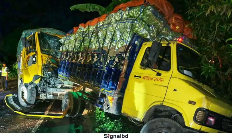 রাজবাড়ীতে সড়ক দুর্ঘটনা: ট্রাকের ধাক্কায় চালক-সহকারী নিহত