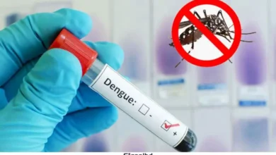 ডেঙ্গুতে আরও একজনের মৃত্যু, হাসপাতালে ভর্তি ৬৩২ জন