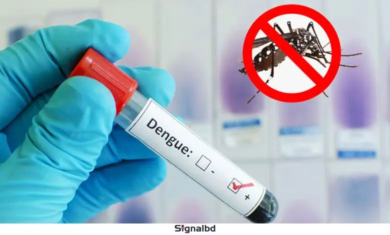 ডেঙ্গুতে আরও একজনের মৃত্যু, হাসপাতালে ভর্তি ৬৩২ জন