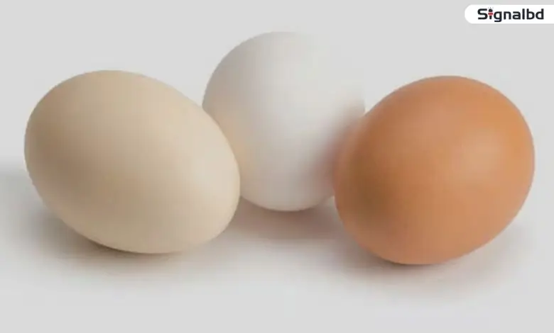 ডিমের দাম ১৫০ টাকা ছাড়ালেই আমদানির অনুমতি