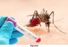 ডেঙ্গুতে আরও ৫ জনের মৃত্যু, হাসপাতালে ৬৩৬