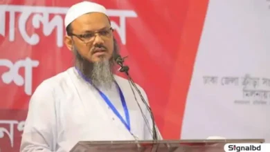 আ’লীগের স্লোগান দিচ্ছে বিএনপি: মুফতী ফয়জুল করীম