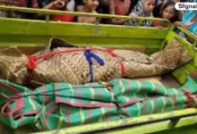 কুমিল্লায় ভাড়া বাসা থেকে মা-মেয়ের রহস্যজনক মৃত্যু, পুলিশ তদন্তে