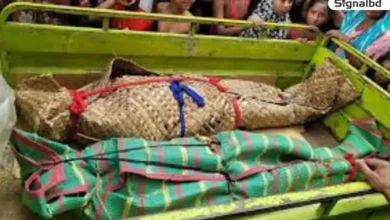 কুমিল্লায় ভাড়া বাসা থেকে মা-মেয়ের রহস্যজনক মৃত্যু, পুলিশ তদন্তে