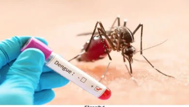 ডেঙ্গু দাপট: একদিনে ৪ জনের মৃত্যু, হাসপাতালে ভর্তি ৮৪৫ জন