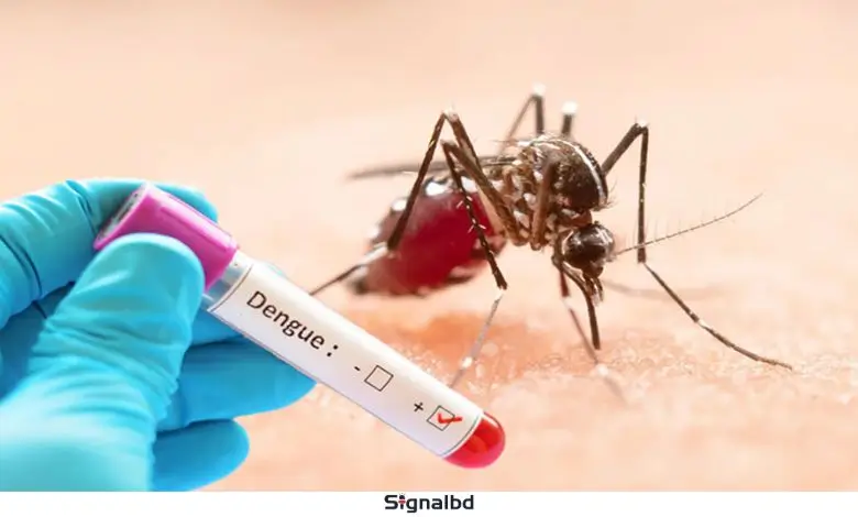 ডেঙ্গু দাপট: একদিনে ৪ জনের মৃত্যু, হাসপাতালে ভর্তি ৮৪৫ জন