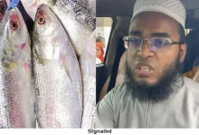 ১০ টাকায় ইলিশ দেওয়ার ঘোষণা দিয়ে বিপাকে রায়হান জামিল