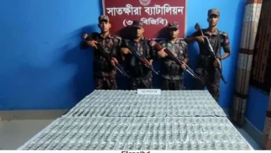সাতক্ষীরা সীমান্তে ৩০ হাজার মার্কিন ডলার জব্দ