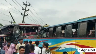 ভালুকায় দুই বাসের মুখোমুখি সংঘর্ষে নিহত ২, আহত অন্তত ১০ জন