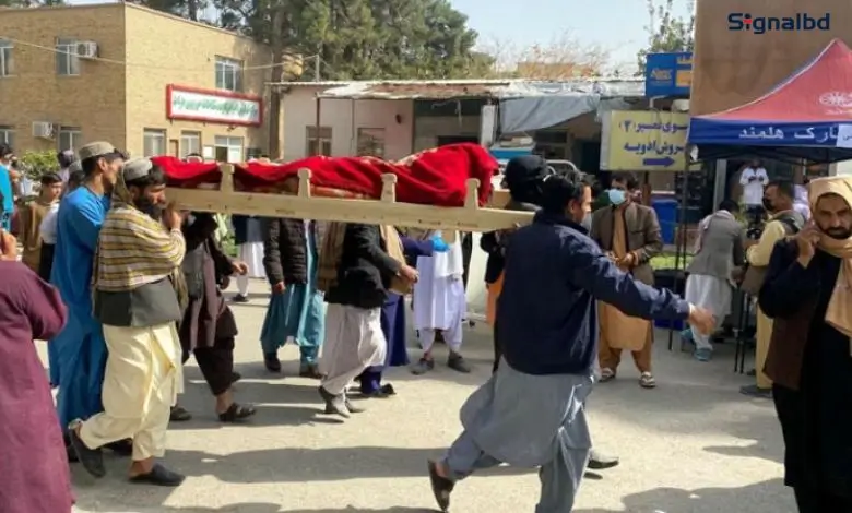 আফগানিস্তানে ভয়াবহ ভূমিকম্প: নিহত ৮০০ ছাড়াল, আহত ২,৮০০ জনেরও বেশি