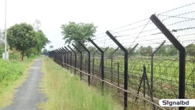 সাতক্ষীরা সীমান্তে ১০ বাংলাদেশিকে হস্তান্তর করলো বিএসএফ