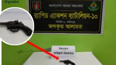 ভাঙ্গায় ময়লার স্তূপ থেকে পাকিস্তানি রিভলভার উদ্ধার