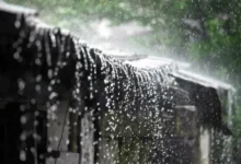 টানা পাঁচ দিন বৃষ্টির পূর্বাভাস, আবহাওয়া অধিদফতর সতর্ক