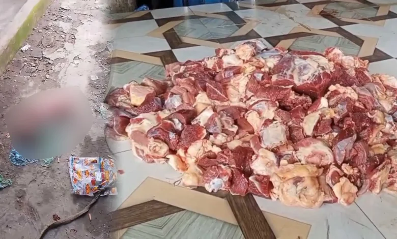 গর্ভবতী গরুর মাংস বিক্রির সময় হাতেনাতে ধরা!