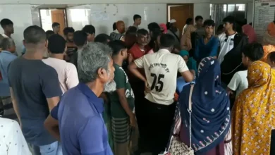 মাছ ধরতে গিয়ে খালে ডুবে দুই ভাইয়ের মৃত্যু
