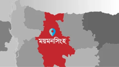 ভালুকায় বিদ্যুৎস্পৃষ্ট হয়ে দুই মাদরাসা শিক্ষার্থীর মৃত্যু
