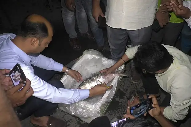 প্রথম চালানে ৩৭ হাজার ৪৬০ কেজি ইলিশ গেল ভারতে